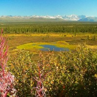 Alaska Denali Highway