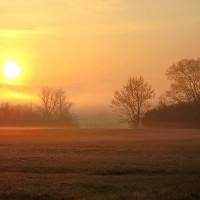 Misty Kentucky Sunrise